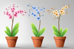 Nowy manager w Lighthouse Consultants