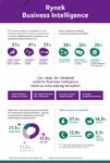 Polscy przedsiębiorcy coraz częściej korzystają z rozwiązań klasy Business Intelligence