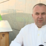 Pszczoły na dachu – hotelowy pomysł na ekologię