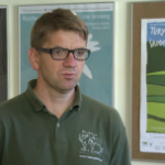 Polaków do ekologii głównie skłaniają pieniądze