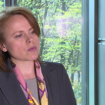 Goldman Sachs: Po krótkim spowolnieniu wzrost PKB przyspieszy w drugiej połowie 2015 r.