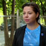 90 proc. światowych zasobów ryb jest przełowionych lub zagrożonych wyginięciem. To może oznaczać problemy dla konsumentów i gospodarki