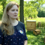 Pszczoły zapylają 70 proc. gatunków roślin, które gwarantują 90 proc. pożywienia. Bez nich polskie rolnictwo straciłoby ponad 4 mld zł