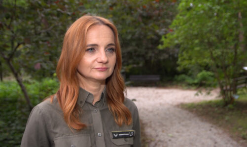 Lasy Państwowe wywiozły w zeszłym roku z lasów 820 tirów śmieci. Kosztowało to 34 mln zł