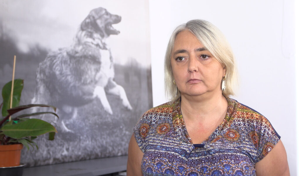 Rośnie liczba bezdomnych zwierząt w Polsce i związane z nimi wydatki. Potrzebne wprowadzenie kontroli środków przeznaczanych na schroniska