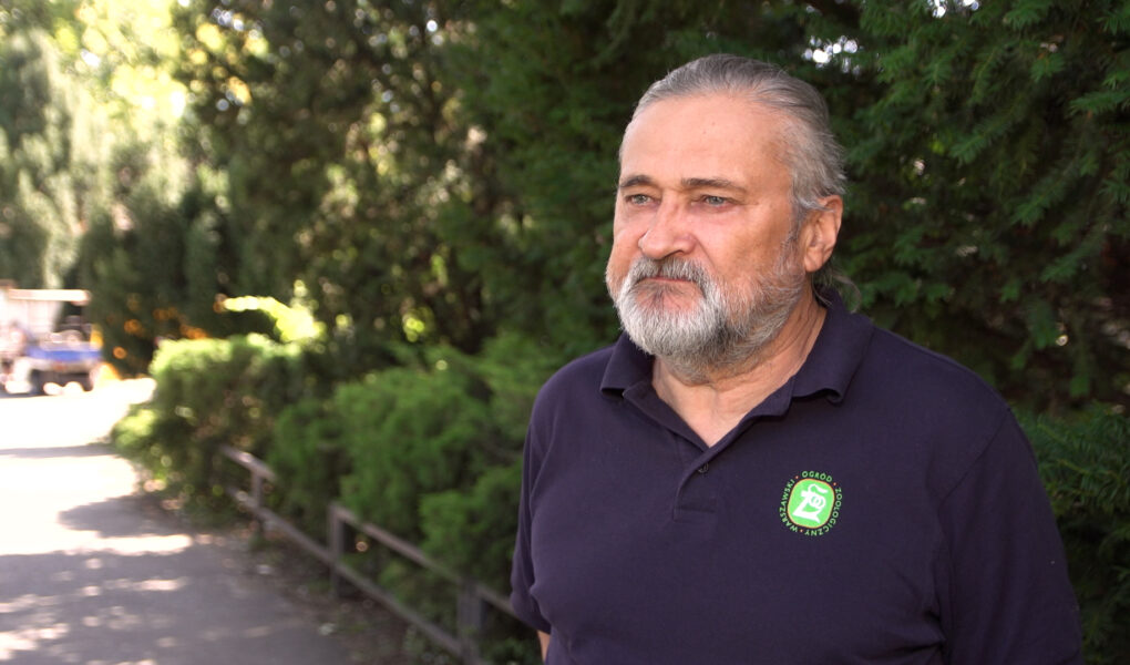 Zoo w Warszawie z rekordową frekwencją. Ogród czeka szereg niezbędnych inwestycji