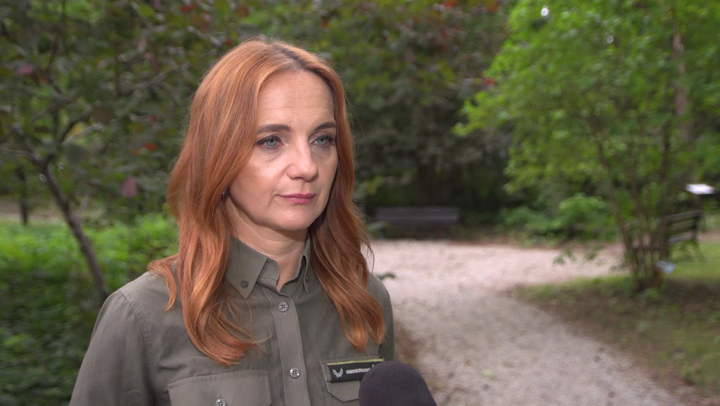 Narosło wiele mitów dotyczących kleszczy. Wypalanie traw nie usuwa tych pajęczaków, a może doprowadzić do pożaru lasu